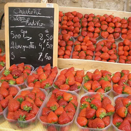 My Little French House Monflanquin